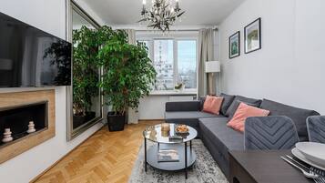 Leilighet – comfort, bakgårdsutsikt | Oppholdsområde | En 40-tommers LED-TV med digitale kanaler