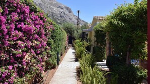 A narrow pathway flanked by lush greenery and vibrant pink flowers, leading to a building with a tiled roof.