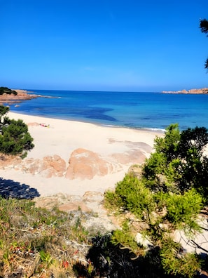 A beach with clear blue water, sandy shore, and green vegetation.