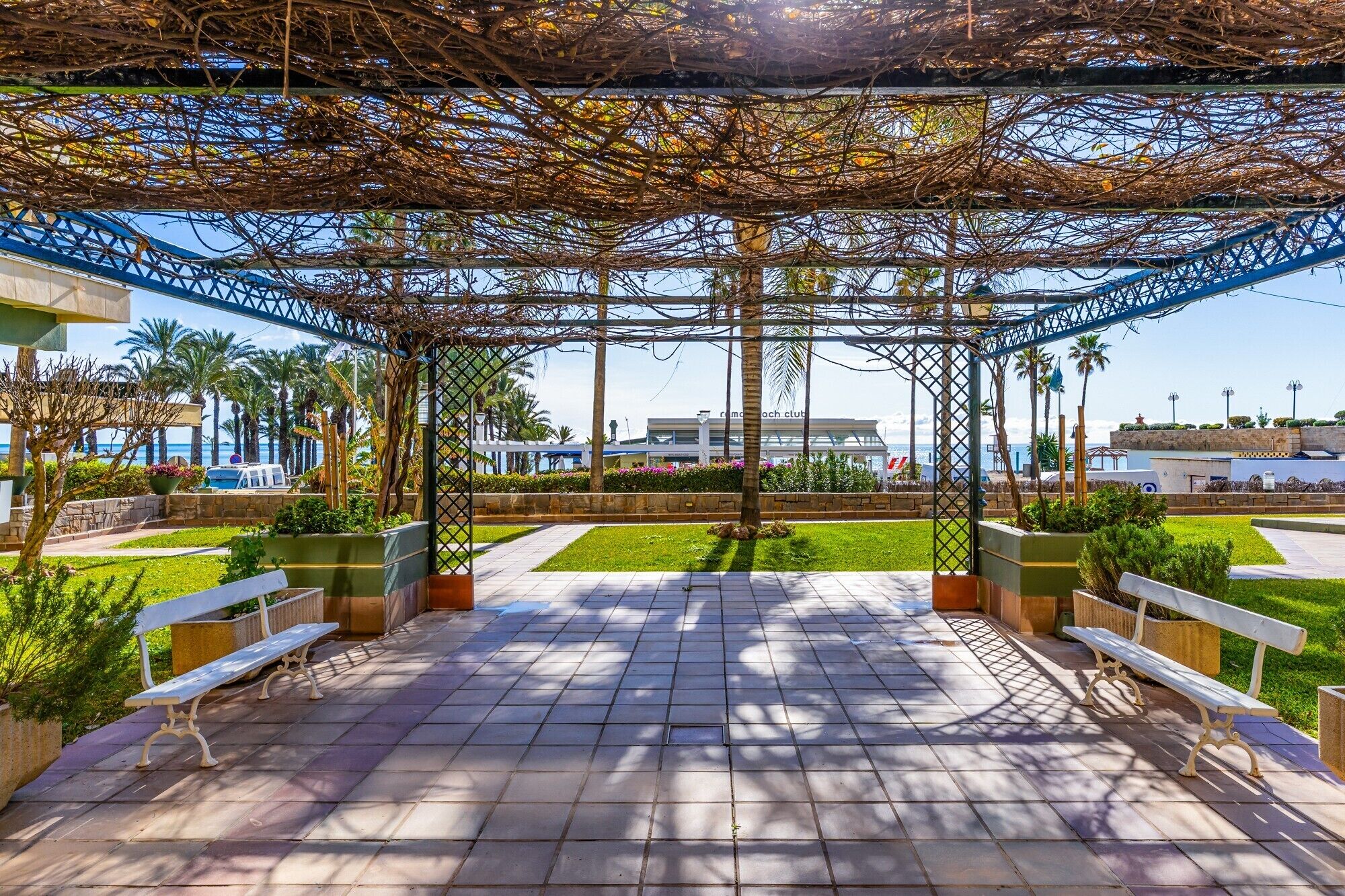 Terras