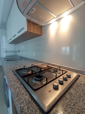 Family Apartment, Balcony, Pool View | Private kitchen | Full-size fridge, stovetop, cookware/dishes/utensils