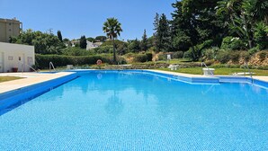 A rectangular swimming pool with blue tiles, surrounded by a landscaped garden with various plants and trees.