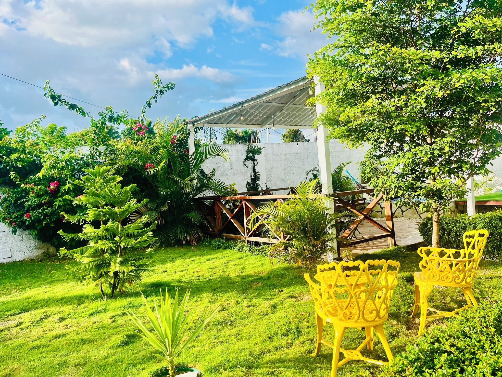 テラス / パティオ