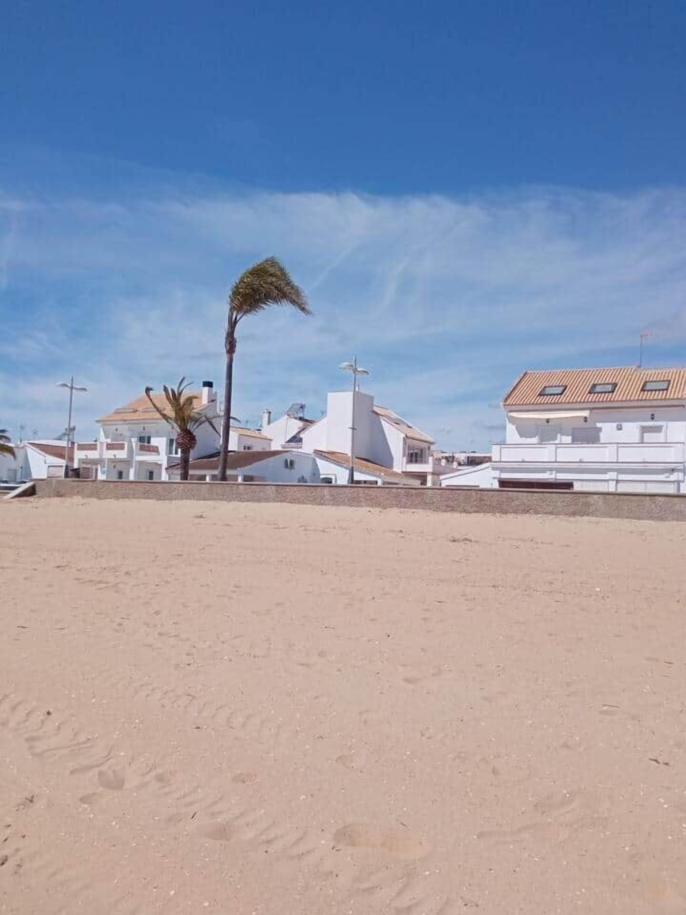 A sandy beach with white buildings and a palm tree.