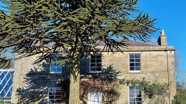 A stone building with a large tree in front, a white door, and two windows on the upper floor. - The Coach House- Canonbie (Canonbie)