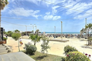 Une promenade en bord de mer offrant une vue dégagée sur l’océan, avec des espaces de repos en plein air et un sentier bordé de palmiers.