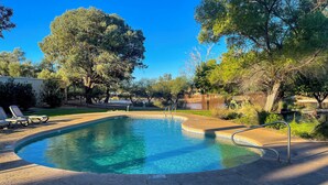 A clear swimming pool with a curved edge, surrounded by trees and a fenced area. - Mtn-view Tucson Home Near Hiking & Biking (Tucson)