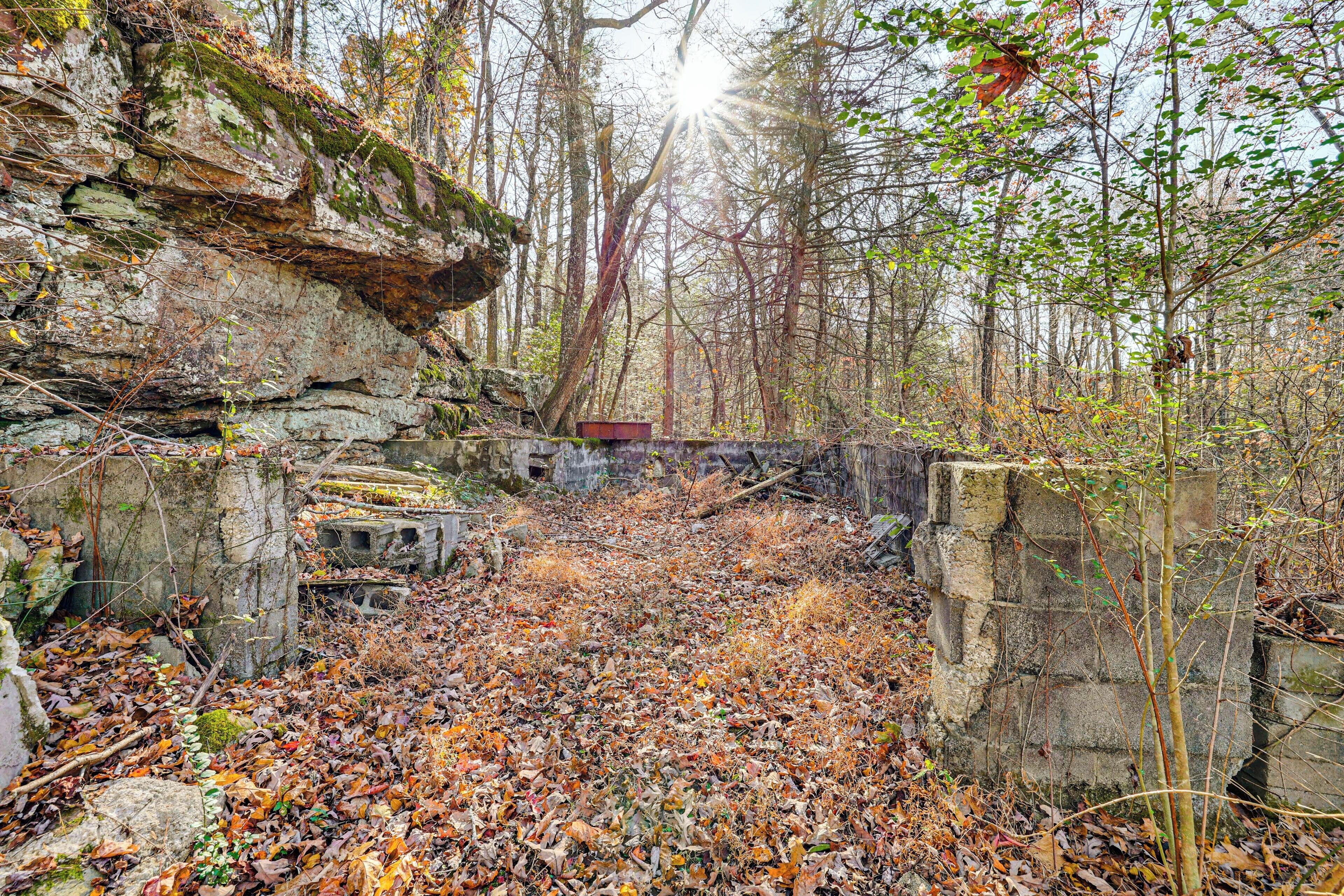 Apartment (1 Bedroom) | Interior