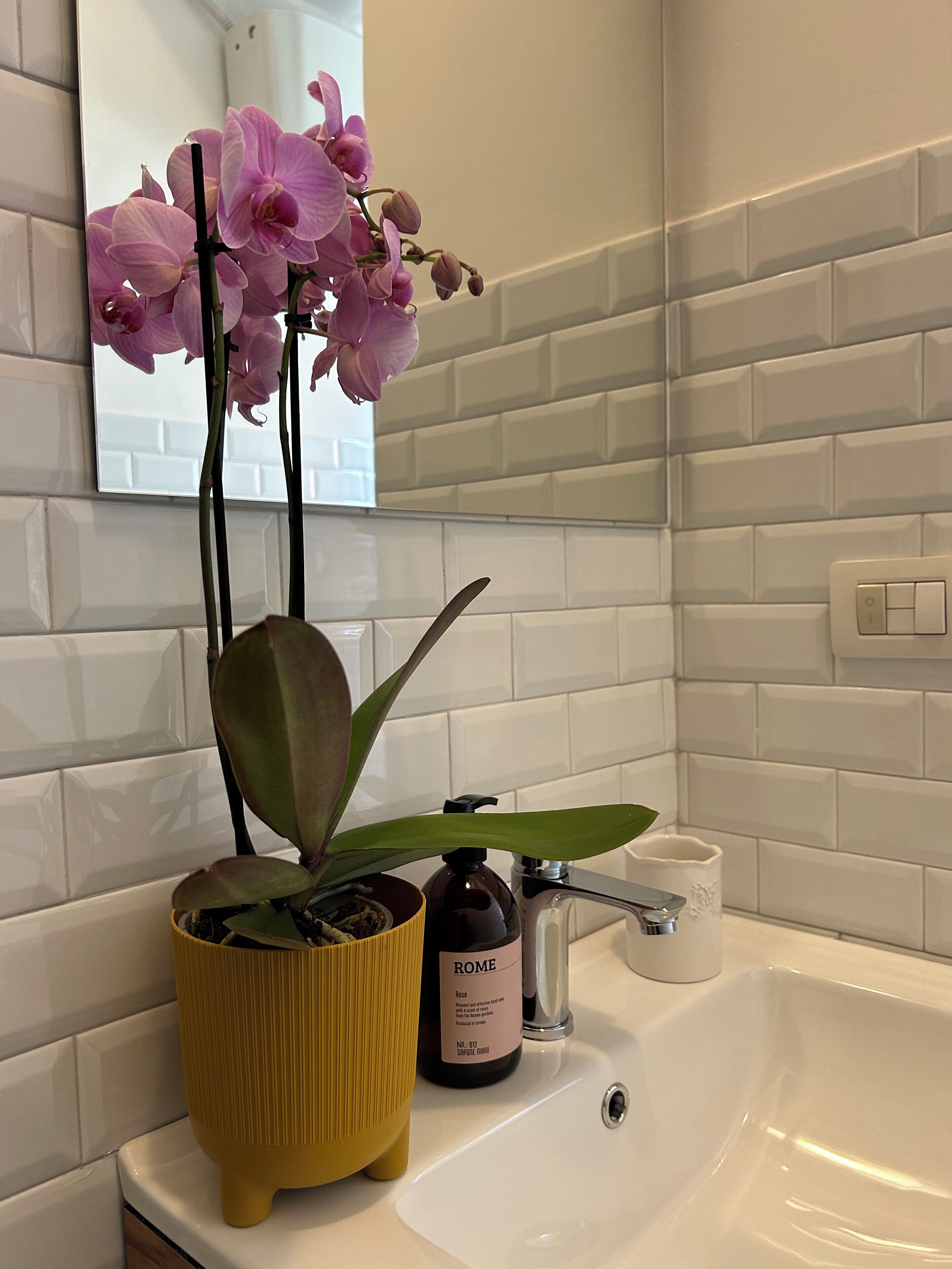 A bathroom with a white sink, a yellow plant, a bottle of soap, and a mirror on the wall.