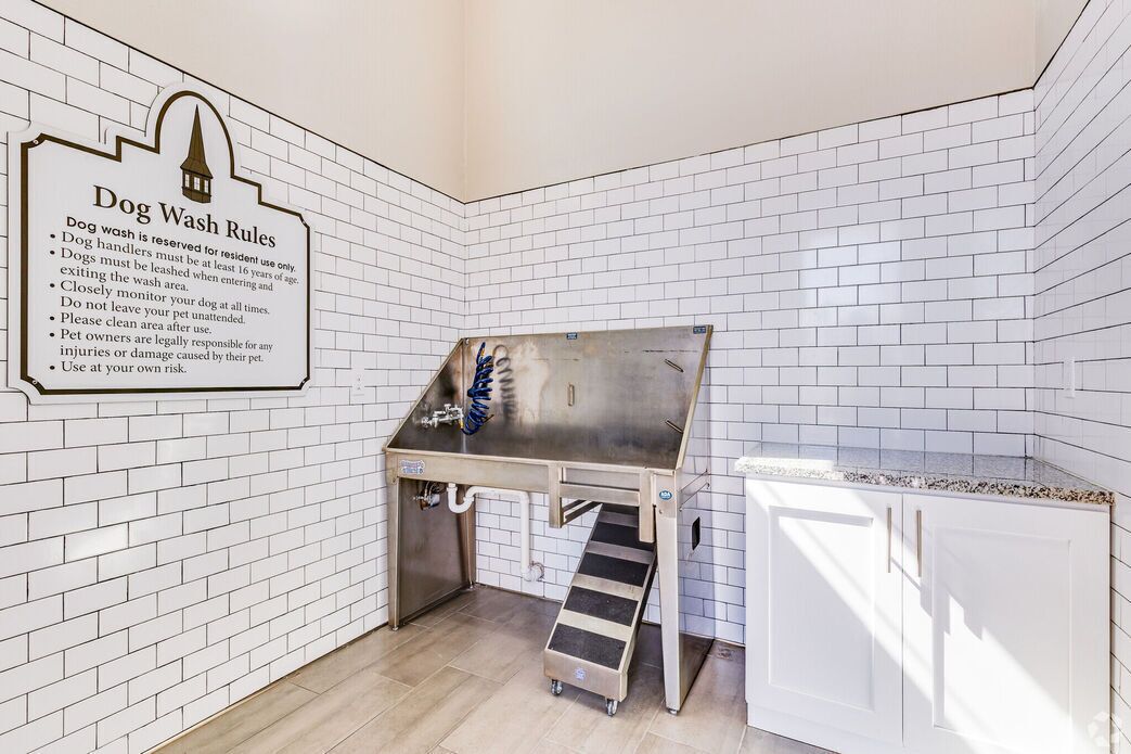 A dog wash station with a stainless steel sink, a hose, and a ramp for pets.