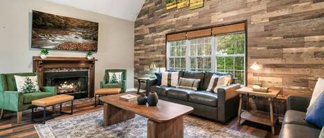 Télévision, cheminée, livres, chaîne hi-fi