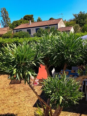 Property grounds - A stone's throw from the medieval town, pretty house ideal for families (Carcassonne)