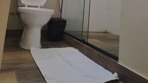 Een badkamer met toilet, een douchecabine met glazen wanden en een raam.
