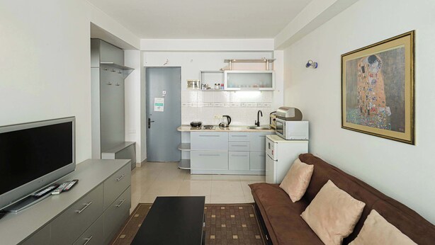 Un espace de vie compact comprenant un coin cuisine, un téléviseur à écran plat, un canapé et une œuvre d’art encadrée accrochée au mur.