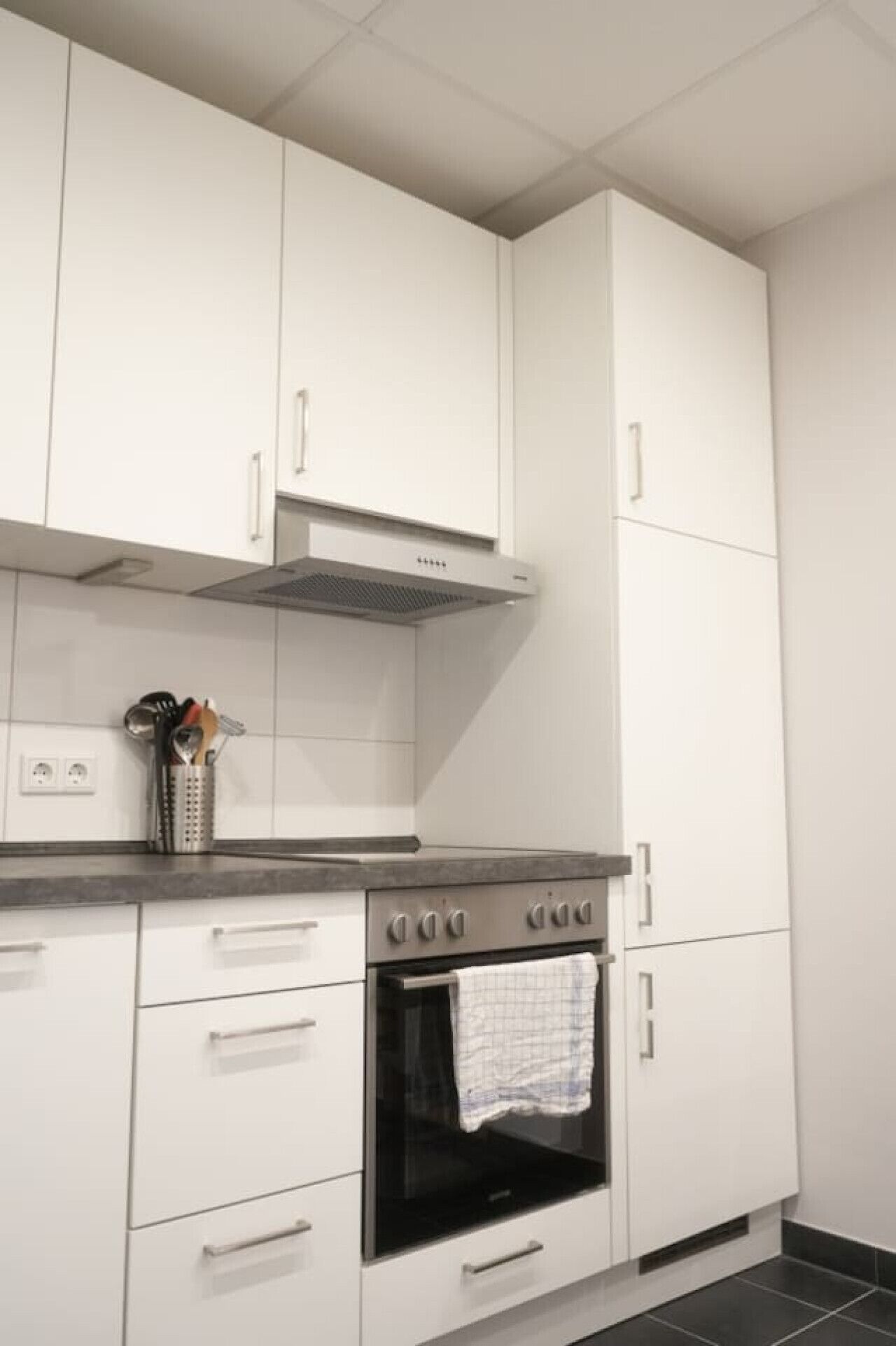 Kühlschrank, Ofen, Herdplatte, Geschirrspüler