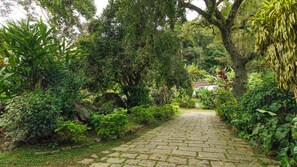 Garden - Sítio Primavera Petrópolis (Petrópolis)