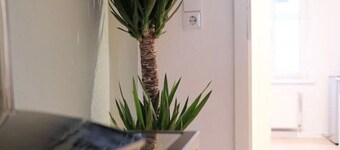 Design apartment | 2 bedrooms | Kitchen