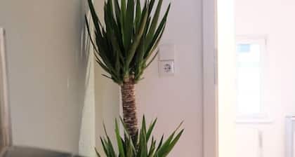 Design apartment | 2 bedrooms | Kitchen