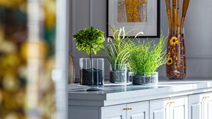 Un plan de travail de cuisine agrémenté de plantes en pot, d’une œuvre d’art encadrée et d’un vase contenant des branches décoratives.