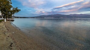 A calm lake with a pebble beach and a tree on the left. - Placebo Apartment in Greece (Volos)