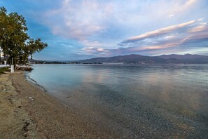 A calm lake with a pebble beach and a tree on the left.