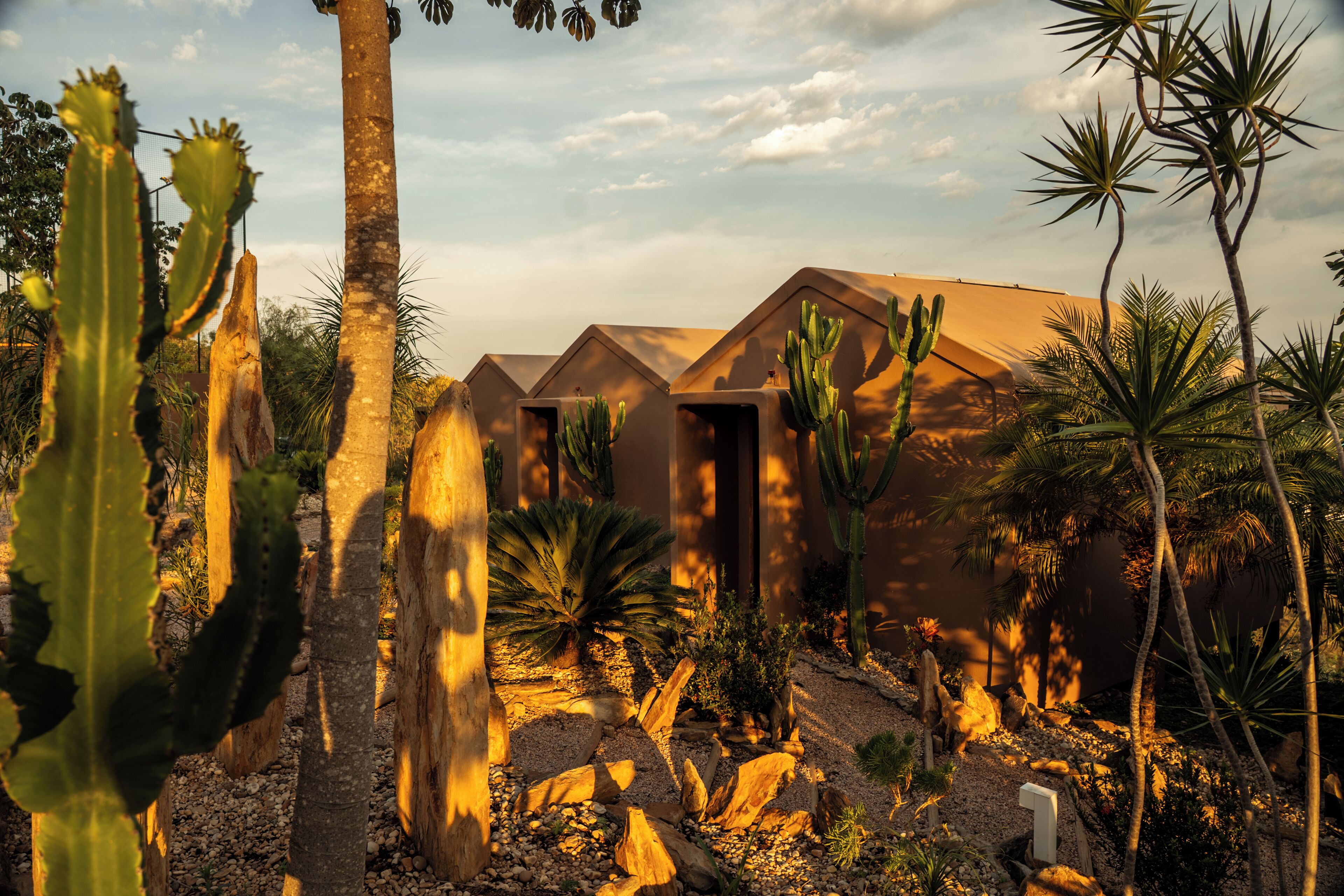 A desert landscape with cacti and palm trees, a building with a brown roof, and a clear sky.
