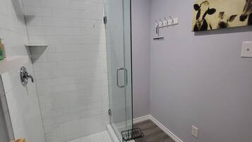 Shower, towels, toilet paper