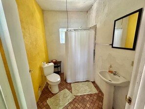 Serviettes fournies, savon, papier de toilette