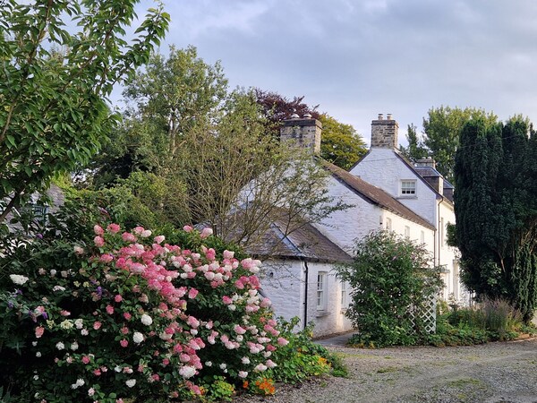 Secret Garden Cottage - Lampeter