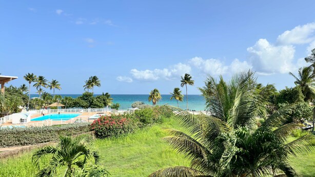 Um resort com piscina, palmeiras e vista para o oceano.