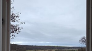 A view from a window with a white frame, overlooking a landscape with trees and a path. - Schloss Burgscheidungen – Gästehaus (Laucha an der Unstrut)