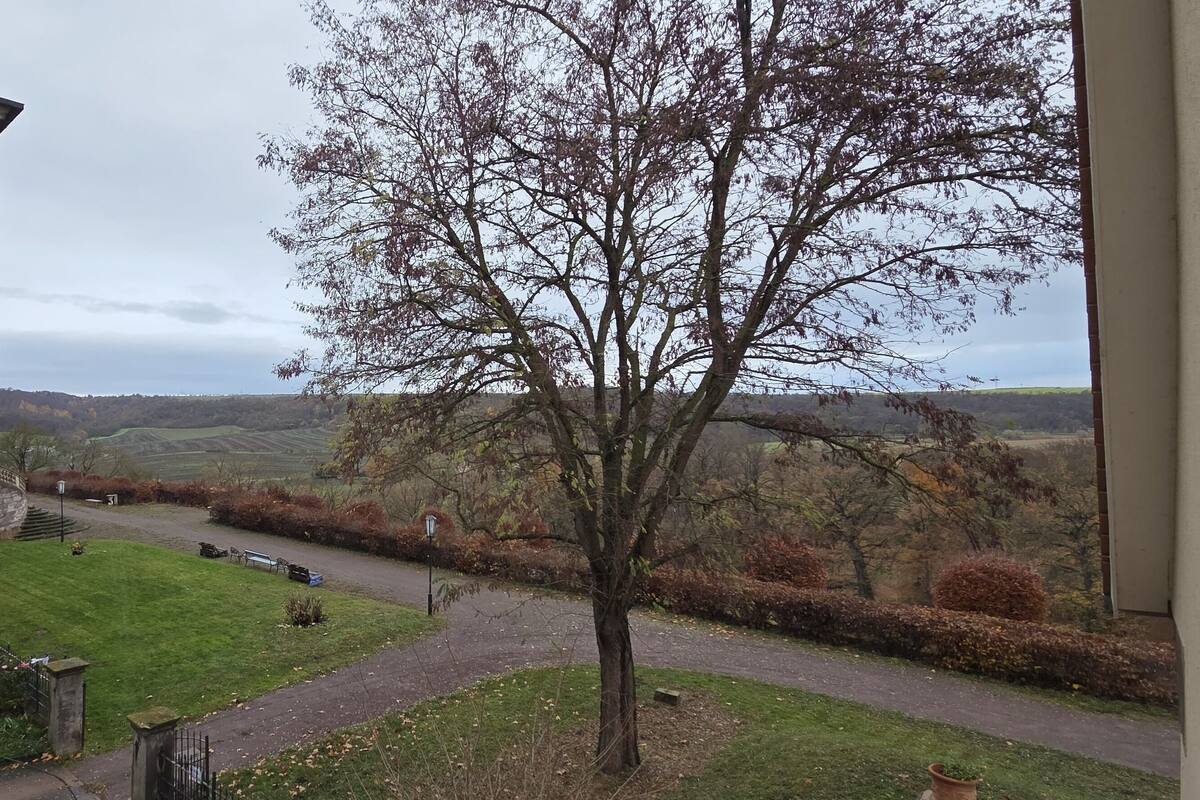 华丽双人房, 山谷景观 | 客房景观