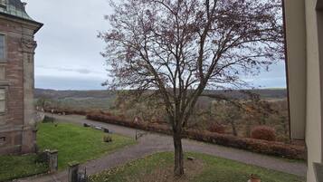 Deluxe Double Room, Valley View | View from room