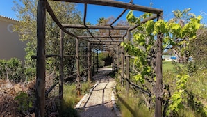 Un sendero de grava bajo una pérgola de madera con parras.