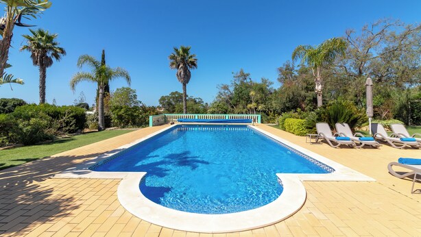 Piscina rectangular con borde de baldosas, rodeada de palmeras y sillones de descanso.