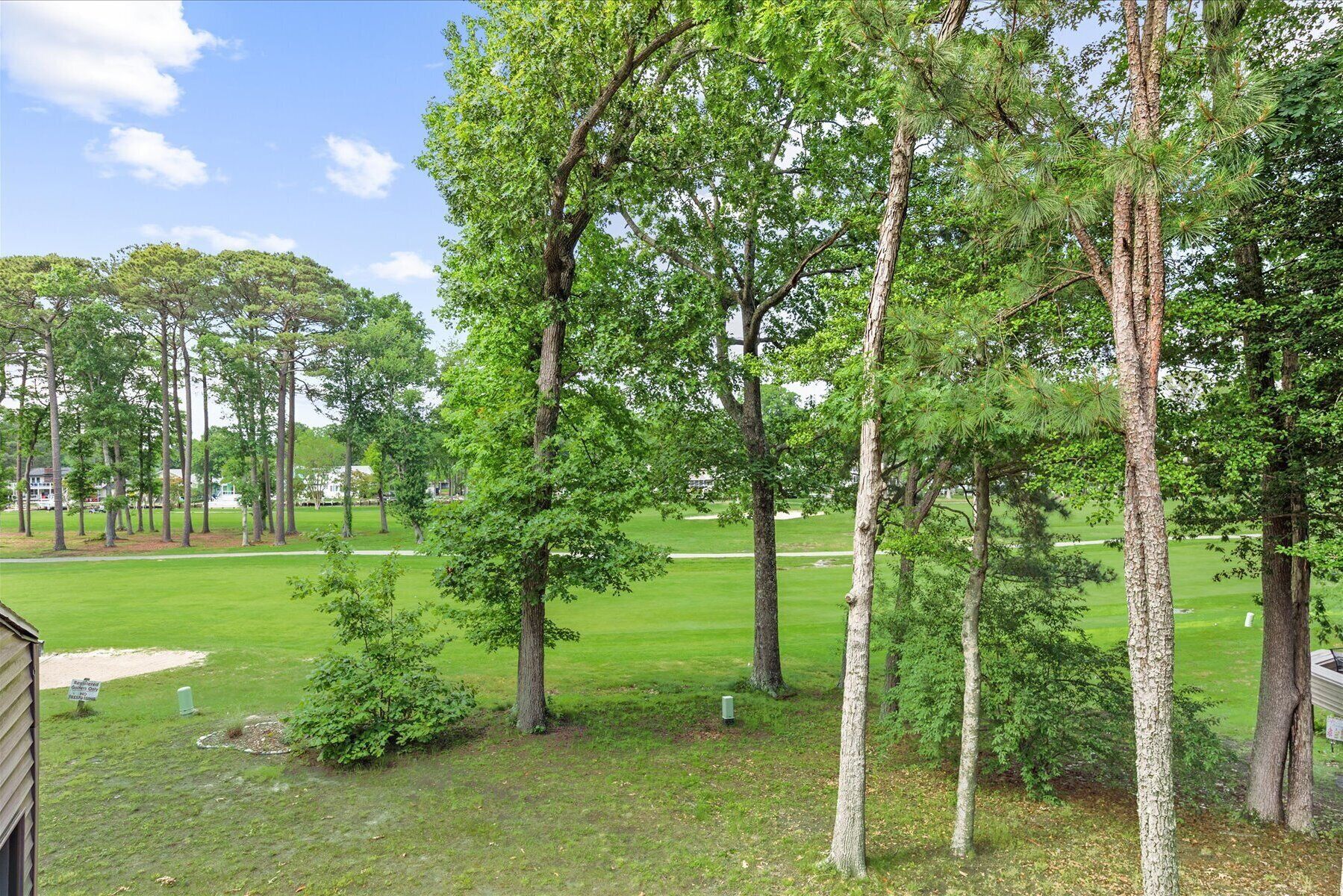 A grassy area with several trees and a small building.