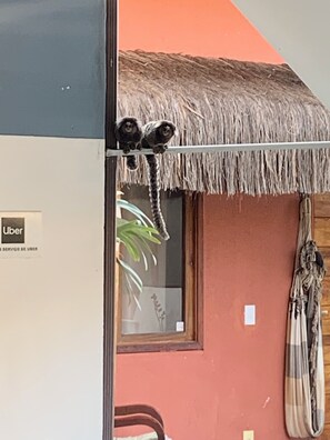 Terrace/patio - Pousada Reserva de Itaúna (Saquarema)