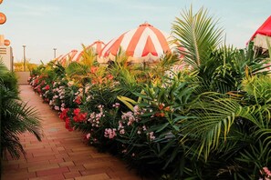 A pathway lined with striped umbrellas and lush greenery. - 1 BDRM Suite for Any Budget, Private In-Suite Plunge Pool, Near Eagle Beach (Oranjestad)