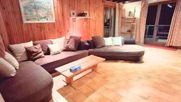 Televisie, een open haard, een dvd-speler en boeken