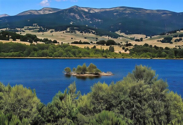 Imagen sin descripción, 1 de 57, botón