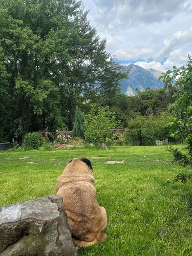 Perfect 3-bedroom chalet in beautiful Poiana Țapului