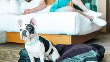 Iron/ironing board, travel crib, free WiFi, bed sheets