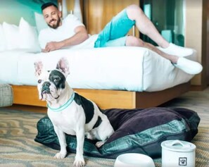 Bügeleisen/Bügelbrett, Reisekinderbett, kostenloses WLAN, Bettwäsche