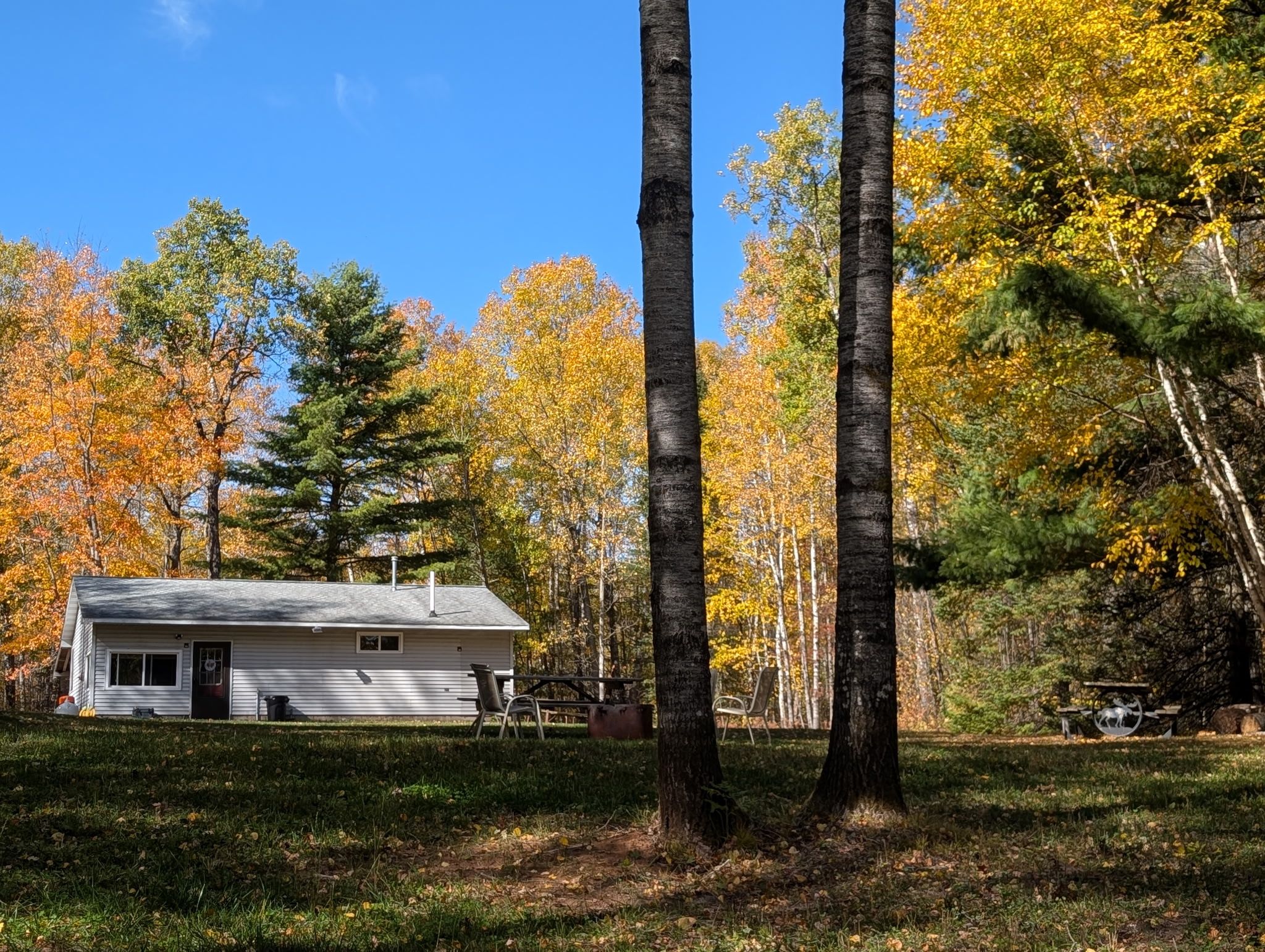 A cabin with a sloped roof, surrounded by trees with autumn foliage.