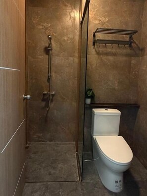 Un piccolo box doccia chiuso da una porta in vetro, un WC bianco e un ripiano con una pianta.