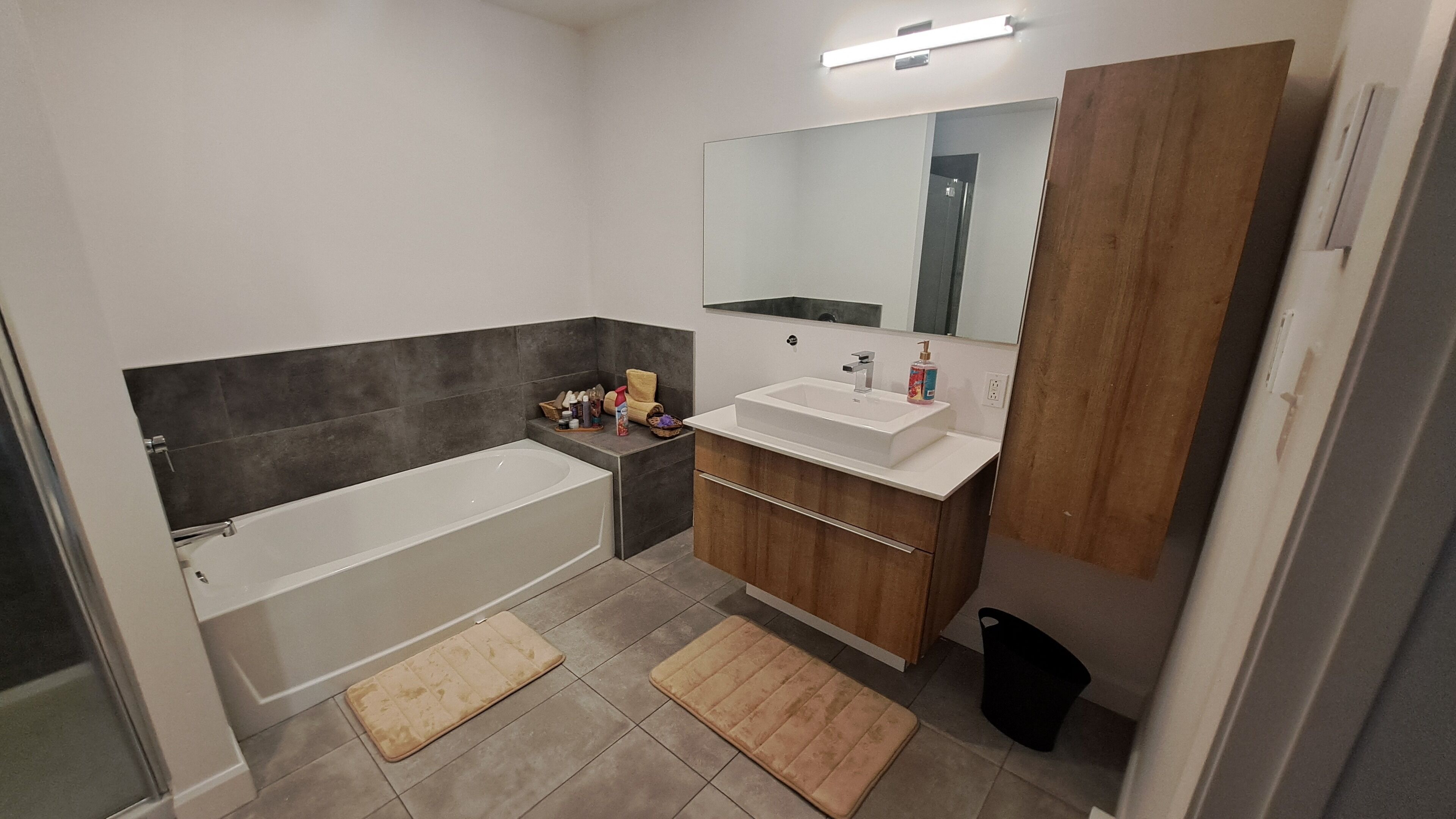 Hair dryer, towels, soap, toilet paper