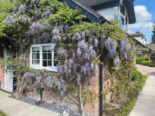 Curlew Cottage