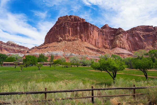 Un paisaje montañoso con una formación rocosa roja destacada, un campo cubierto de hierba y algunos árboles dispersos.