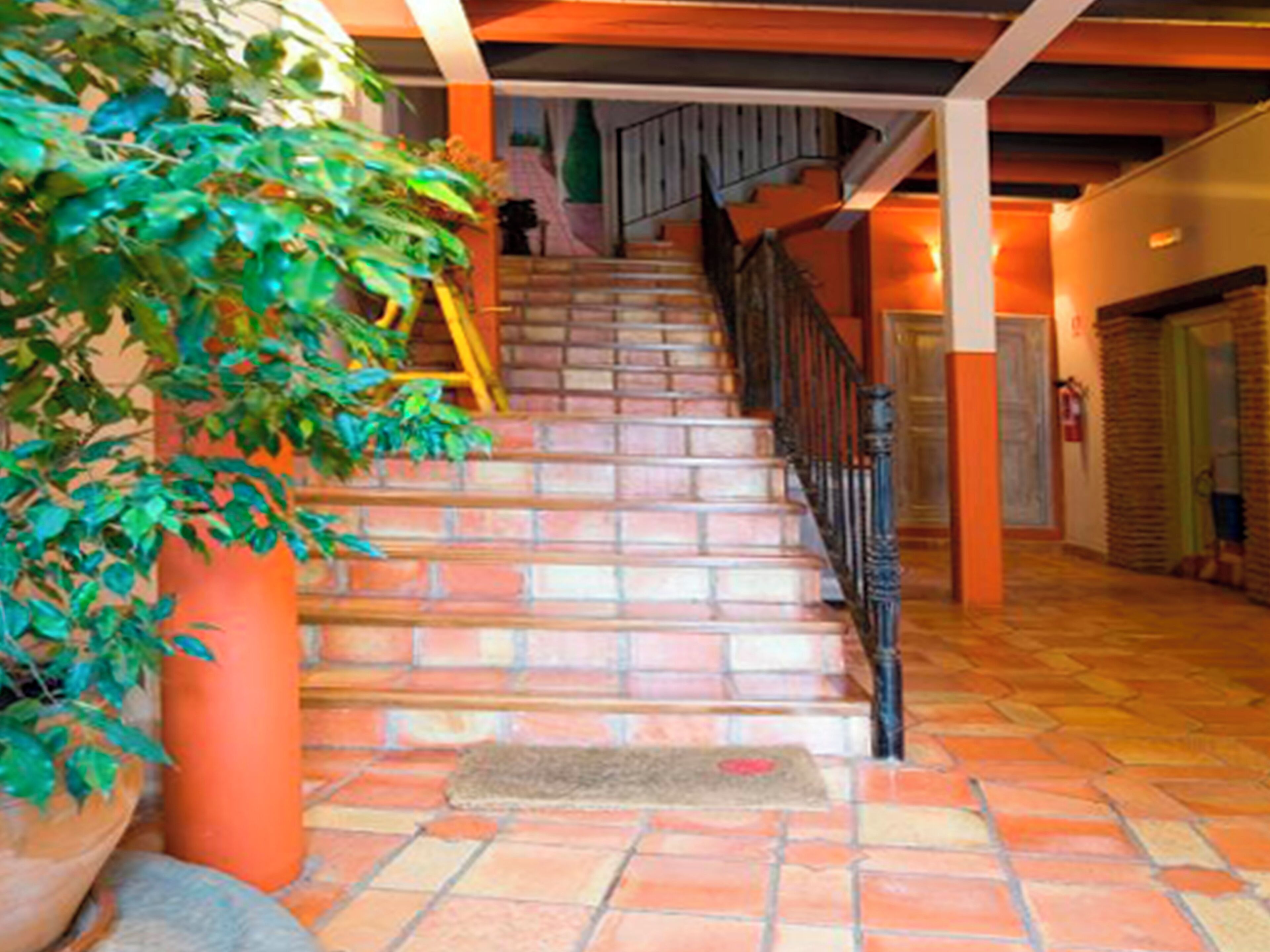 A staircase with a handrail, a doormat, and a potted plant.