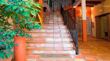 A staircase with a handrail, a doormat, and a potted plant.